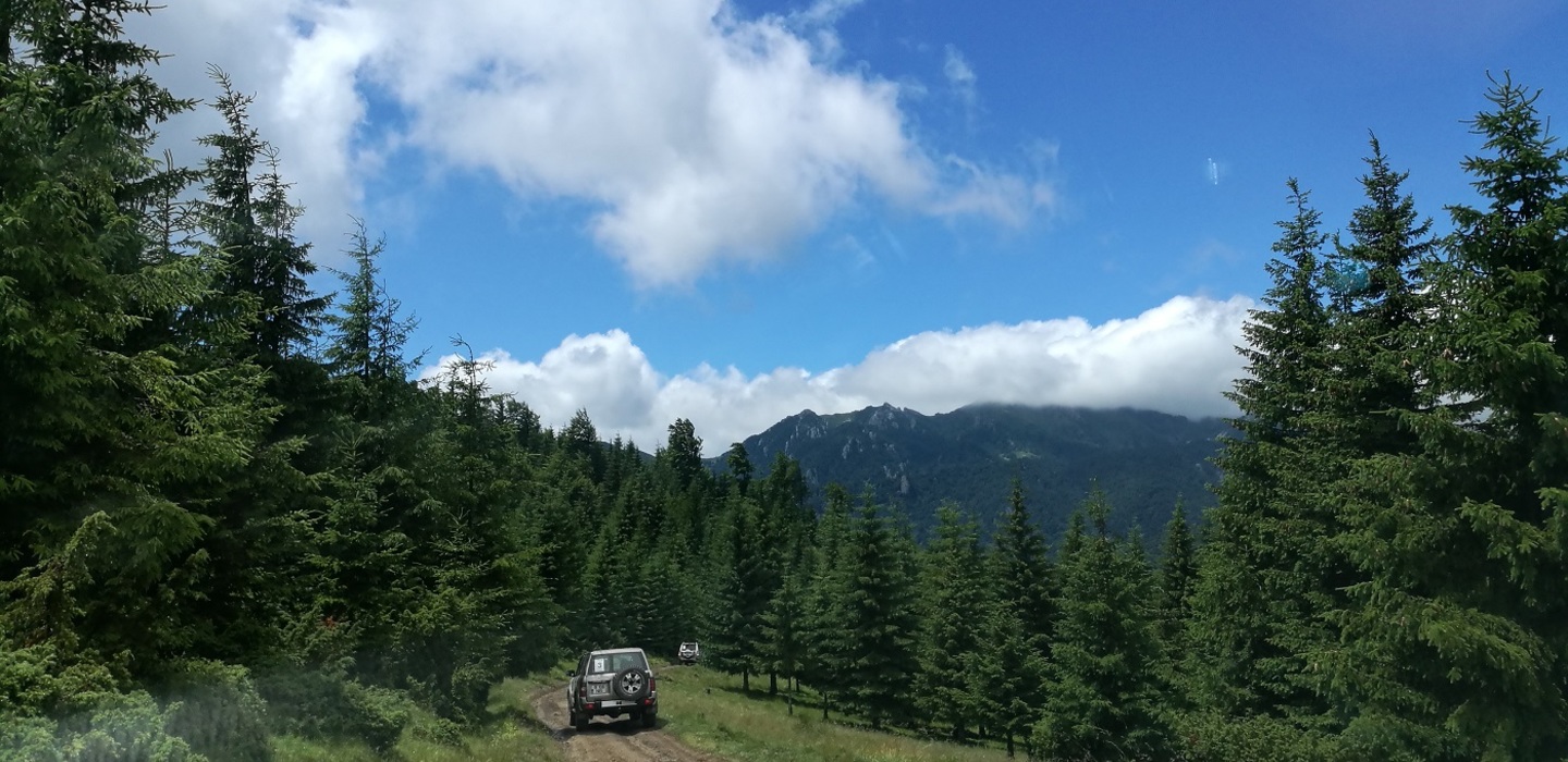 Img 20180623 134518 1