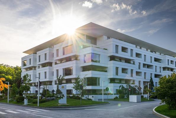 Thumb stejarii collection exterior 16 may 2024 309 edit