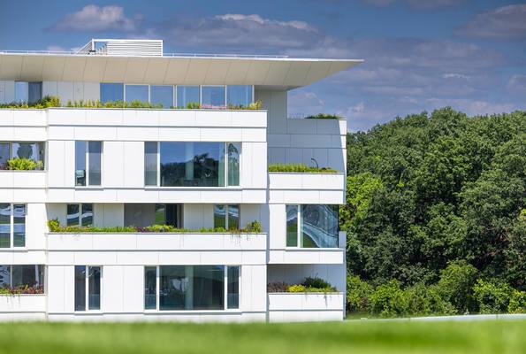 Thumb stejarii collection exterior 16 may 2024 230