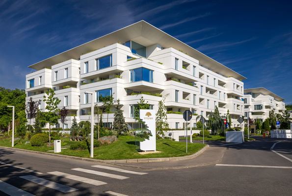 Thumb stejarii collection exterior 16 may 2024 185 edit